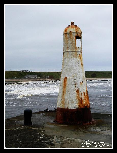 Exterminate!: Photograph by Steve Milner